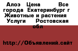 Алоэ › Цена ­ 150 - Все города, Екатеринбург г. Животные и растения » Услуги   . Ростовская обл.